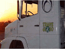 TransGlobo Transportes - Foto 2