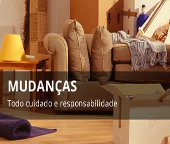 Solimões Mudanças PA - Foto 1