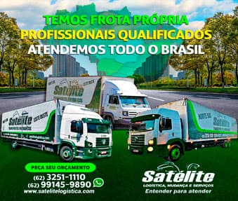 Satélite Mudanças GO - Foto 2