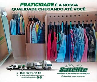 Satélite Mudanças GO - Foto 3